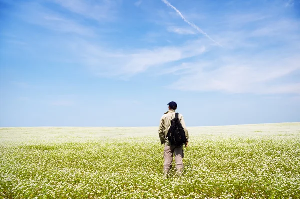 L'uomo sul prato verde . — Foto Stock