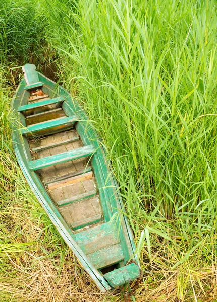 Boat in a high cane — Stock Photo, Image