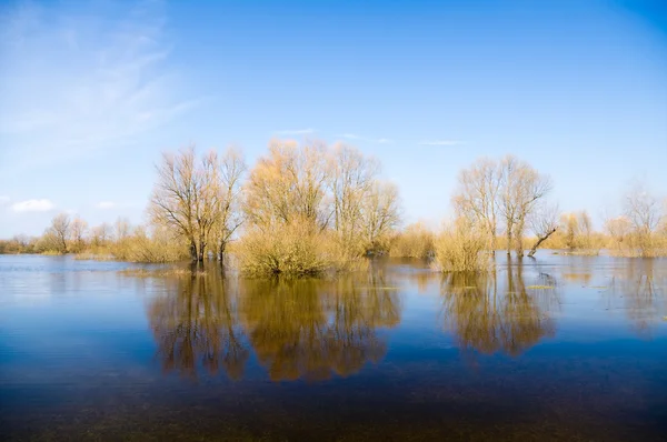 Весна висока вода — стокове фото