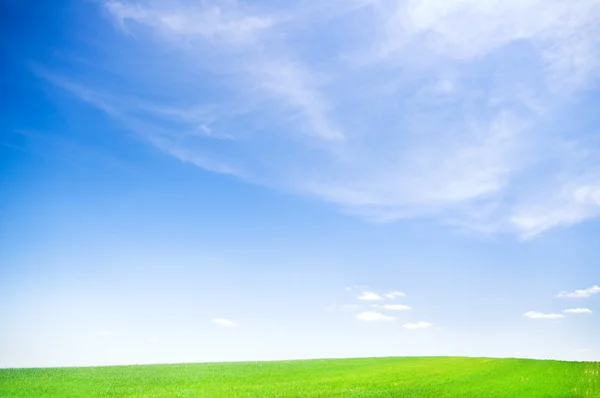 Блакитне небо над зеленим полем — стокове фото