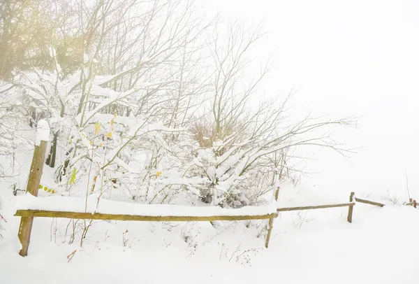 Зимний пейзаж и деревянный забор . — стоковое фото