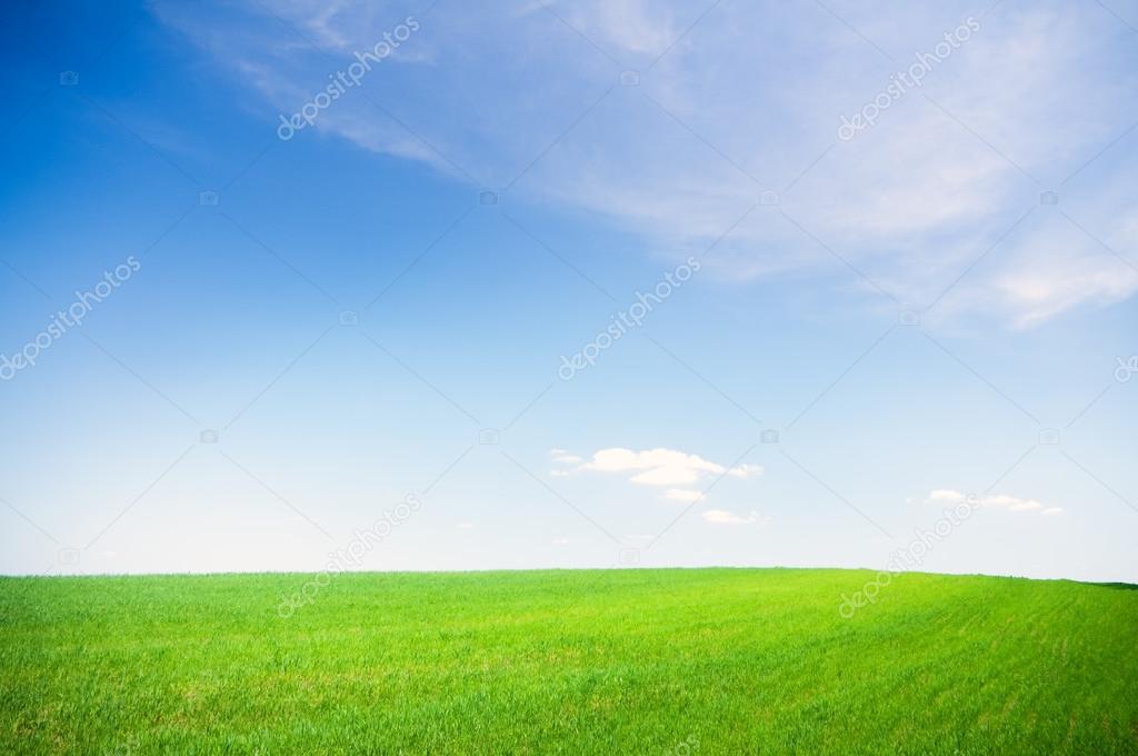 green field under blue sky