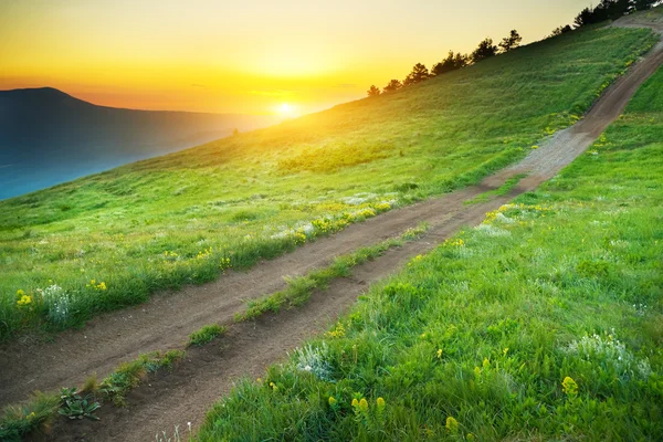 Schöne Sommerlandschaft — Stockfoto