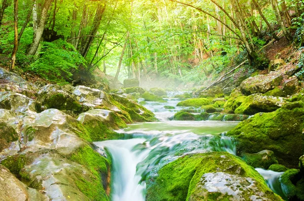 Floden djupt i bergskog. — Stockfoto