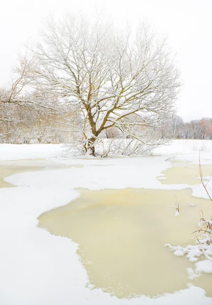 겨울 계절 — 스톡 사진