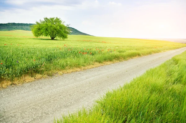 Road lane en diep bewolkte hemel. — Stockfoto