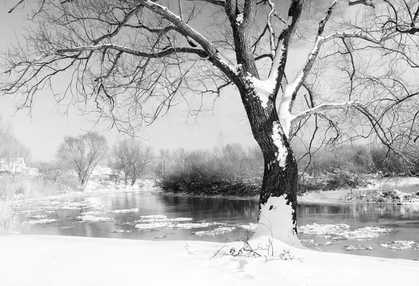 Заснеженная зимняя река — стоковое фото