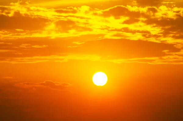 Scharlachrot und die große Sommersonne — Stockfoto