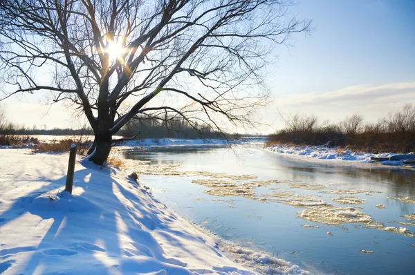 Stagione invernale — Foto Stock