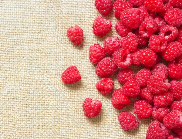 Many red ripe raspberry fruit — Stock Photo, Image