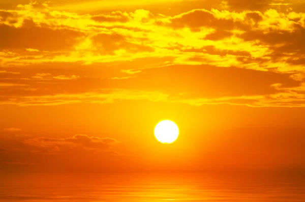 Scharlachrot und die große Sommersonne — Stockfoto