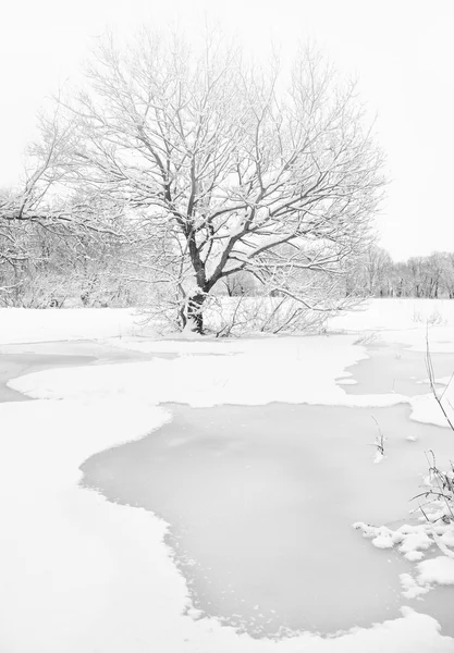 Vintersäsong — Stockfoto