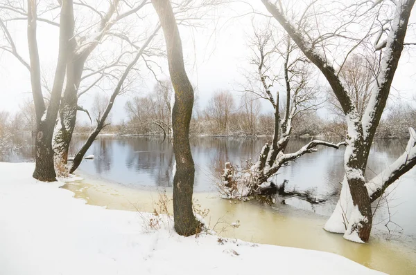 Stagione invernale — Foto Stock