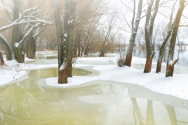 Temporada de Inverno — Fotografia de Stock