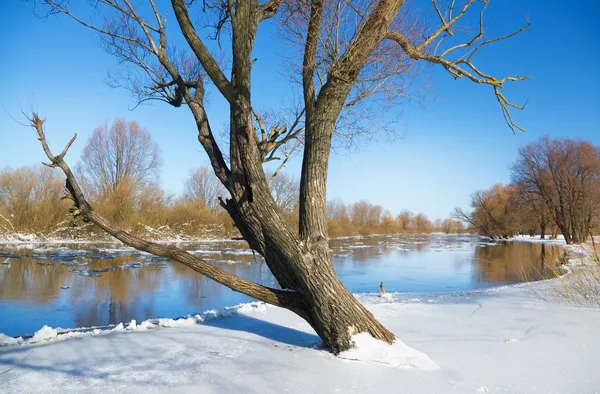 Zimní říční krajina — Stock fotografie