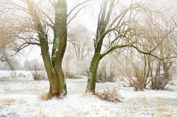 Temporada de invierno —  Fotos de Stock