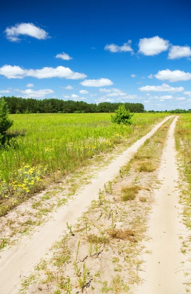 Strada attraverso il campo estivo vicino al bosco . — Foto Stock