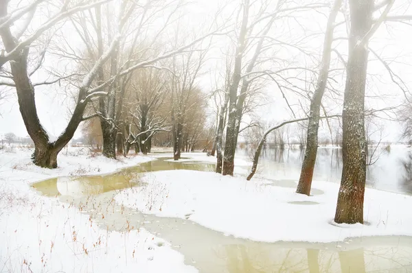 겨울 강 — 스톡 사진