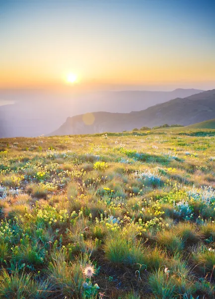 Salida del sol en las montañas de verano . — Foto de Stock