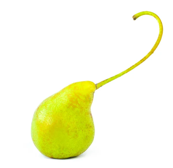 Single williams pear — Stock Photo, Image