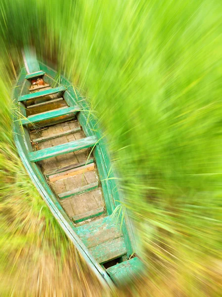 Boat in a high cane — Stock Photo, Image