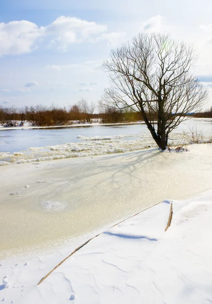 Winter rivier — Stockfoto