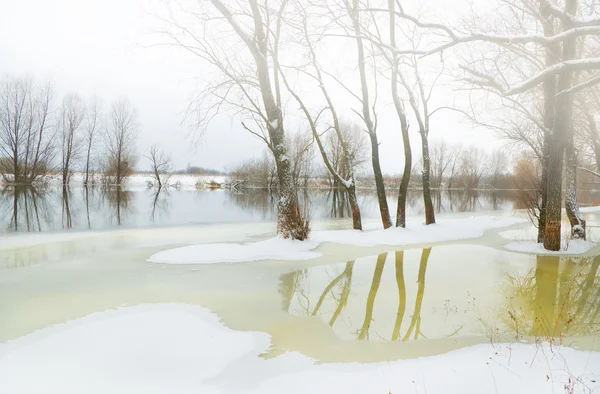 Winterbach — Stockfoto