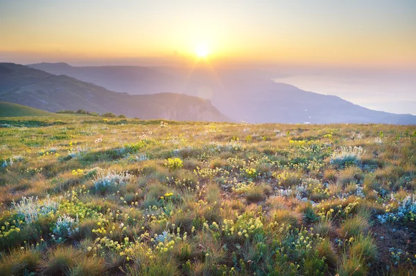 Sunrise in summer mountains. — Stock Photo, Image