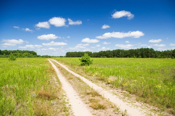 Paisagem verão — Fotografia de Stock