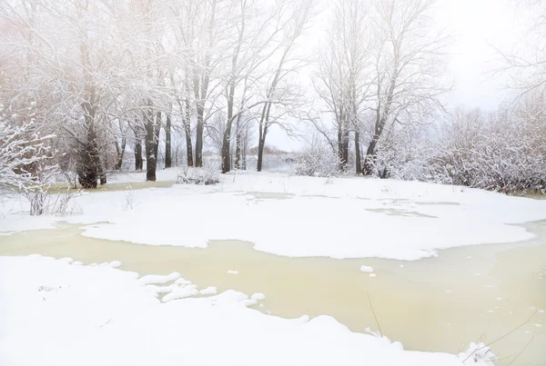 Temporada de Inverno — Fotografia de Stock