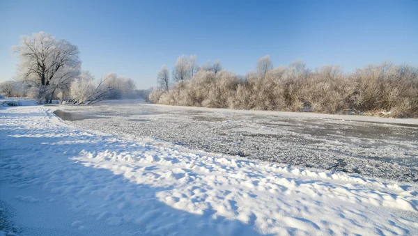 Cena de inverno — Fotografia de Stock