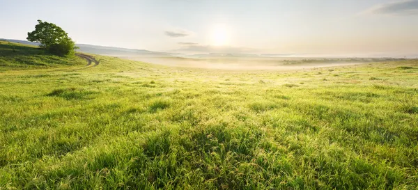 Lane nel prato e all'alba . — Foto Stock