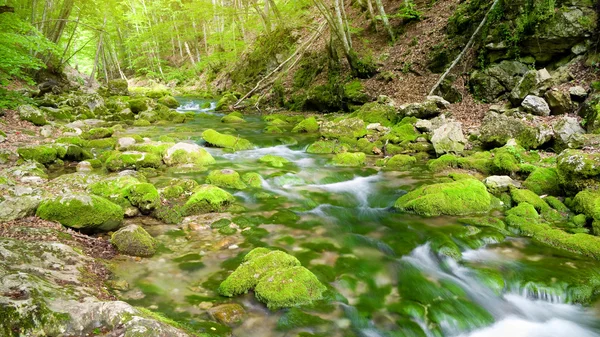 Río profundo en el bosque de montaña . —  Fotos de Stock