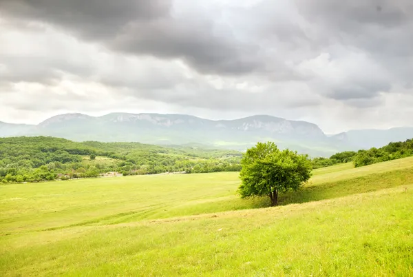 Frühlingswiesenlandschaft. — Stockfoto