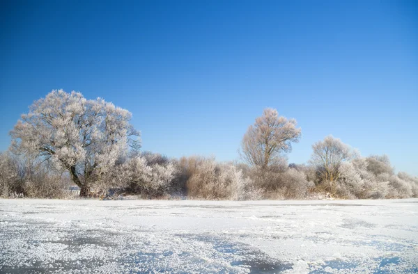 Inverno — Foto Stock