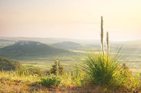 Summer mountains — Stock Photo, Image