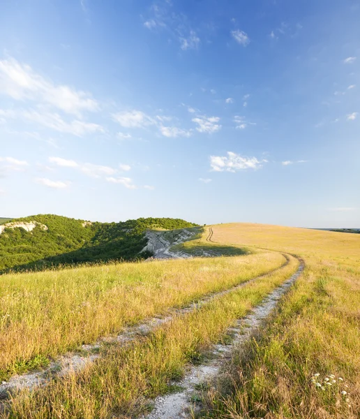 Vägen lane — Stockfoto