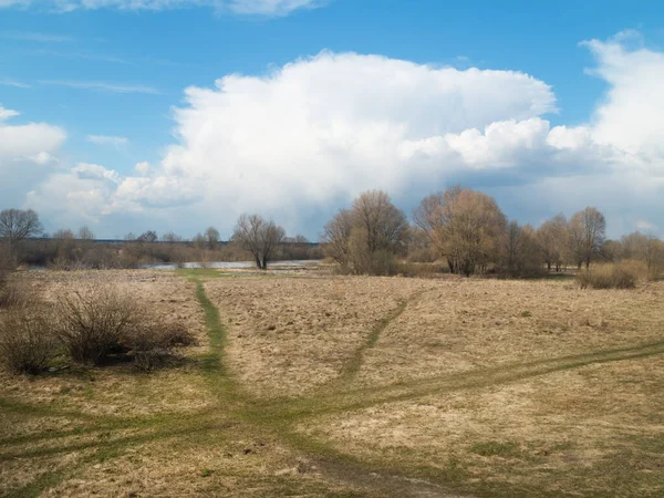 春の風景 春の牧草地の上の雲 — ストック写真