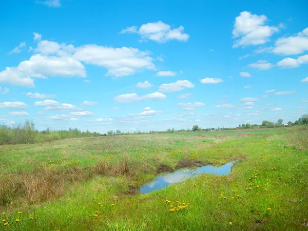 Весняний Луг Сонячний День Білими Хмарами — стокове фото