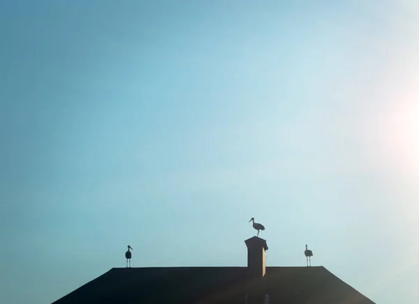 在蓝天的映衬下 斯托克人坐在一座房子的屋顶上 — 图库照片
