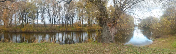 Alter Baum Herbstufer — Stockfoto