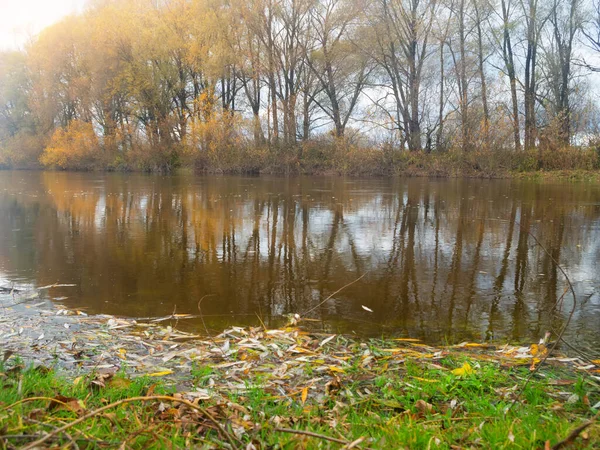 Foto Panorámica Del Río Otoño Composición Natural —  Fotos de Stock