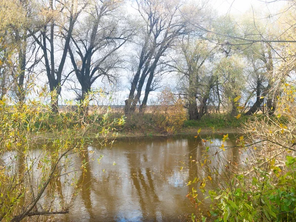 Podzimní Krajina Krásné Barevné Stromy Nad Řekou Zářící Slunečním Světle — Stock fotografie