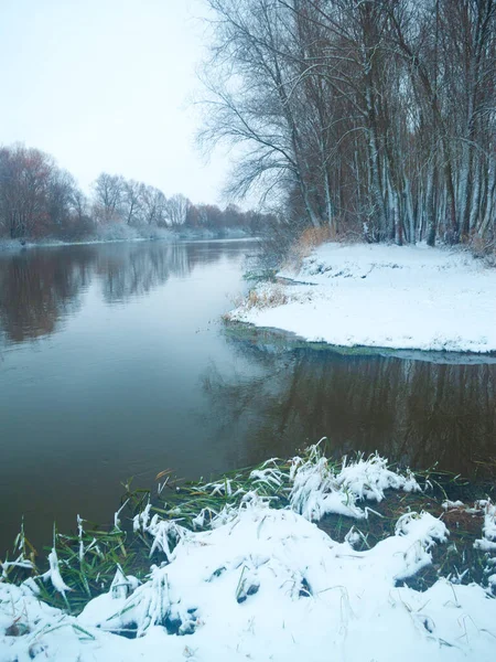 겨울에는 육지에서 나무와 — 스톡 사진