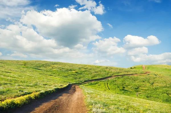 Straße Die Abhang Das Überdachte Gras Des Berges Vorbeiführt — Stockfoto