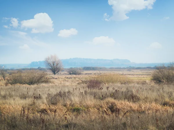 Autumn Meadow River Valley — Stock Photo, Image