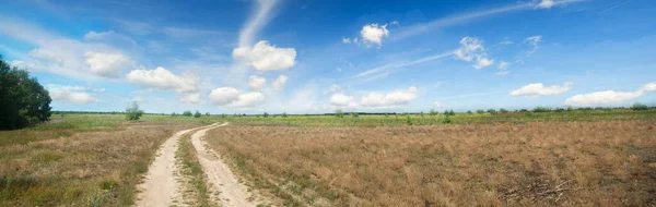 Der Weg Durch Die Sommerwiese — Stockfoto