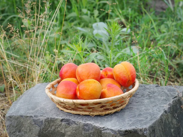 Fruits Abricot Sur Une Soucoupe Osier Debout Sur Une Pierre — Photo