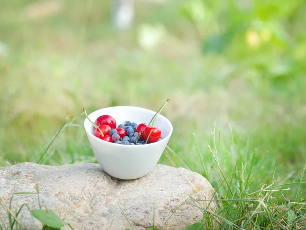 Set Summer Fruits Bowl Fresh Harvest Our Own Garden — Stock Photo, Image