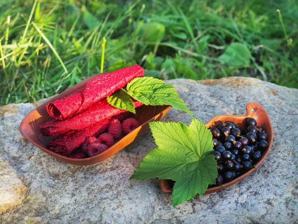 Summer Harvest Berries Your Garden Set Different Berries — Stock Photo, Image